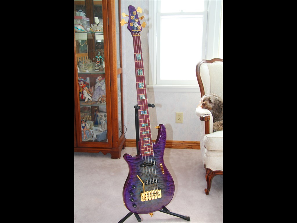 5-string Bass in Blue/Purple Quilted Maple & Purpleheart